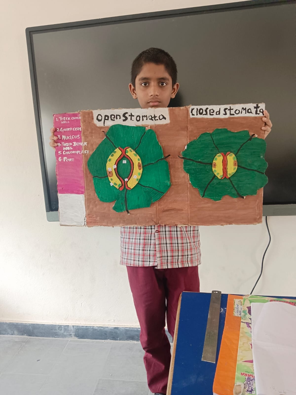 Third Internship Image 10